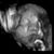 Katelyn Calamia-Solnick's profile image