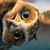 Edy Marlatt's profile image