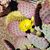 Susan Crowder Prentiss's profile image