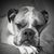 Karen Korb's profile image