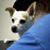 Jan Mortimer's profile image