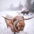 Beatriz Hayes's profile image