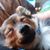 Frederick Rudolf Fox's profile image