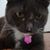 Barbara Whalen's profile image