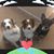Helene Frank McAfee's profile image