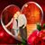 Kelly Schlais's profile image