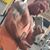 Jay Drury's profile image