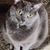 Rhonda Highfield's profile image