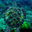 TeeThe Traveler's profile image