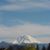 Debra Salice's profile image