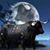 Jose Diaz Miranda's profile image