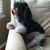 Carrol-ann Cysensky's profile image