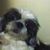 Nadine Evering's profile image