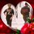 Stacy Armstead's profile image