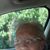 Cindy Elam Davis's profile image