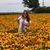 Annette Huff Waack's profile image