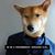 Kevin Buchanan's profile image