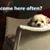 Kathy Lundquist's profile image