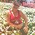 Veronica Alves Lima's profile image