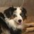 Lisa Akers Stein's profile image