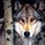 Melissa Shidler Hensel's profile image