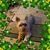 Patricia Finnegan's profile image