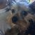 Jennifer Langford's profile image
