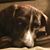 Kimberlee Thornton's profile image