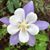 Teri Kruckenberg Stevenson's profile image