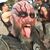Scott White's profile image