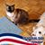 Leetta Waldhausen's profile image