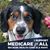 Megan M Scull-Monroe's profile image