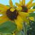 Lorie Hutchison's profile image