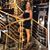 Latoya Williams's profile image