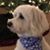 Nancy Martens's profile image