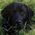 Beth Lock's profile image