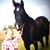 Vernon Storey's profile image