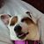 Sylvia Nethers's profile image