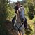 Jackie Larsen's profile image