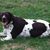 John Kauppi's profile image