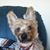 Donna Schroeder's profile image
