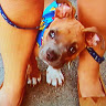 Faith H.'s profile image