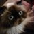 Doug Beaver's profile image
