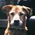 Ashlee Bullock's profile image