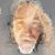 Brett Hooper's profile image