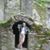 Carolyn Wierson's profile image