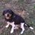 Tammy Charles's profile image