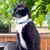 Jann Leger's profile image