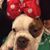 Teri DiMarzio Allers's profile image