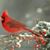 Teresa Wright Taylor's profile image